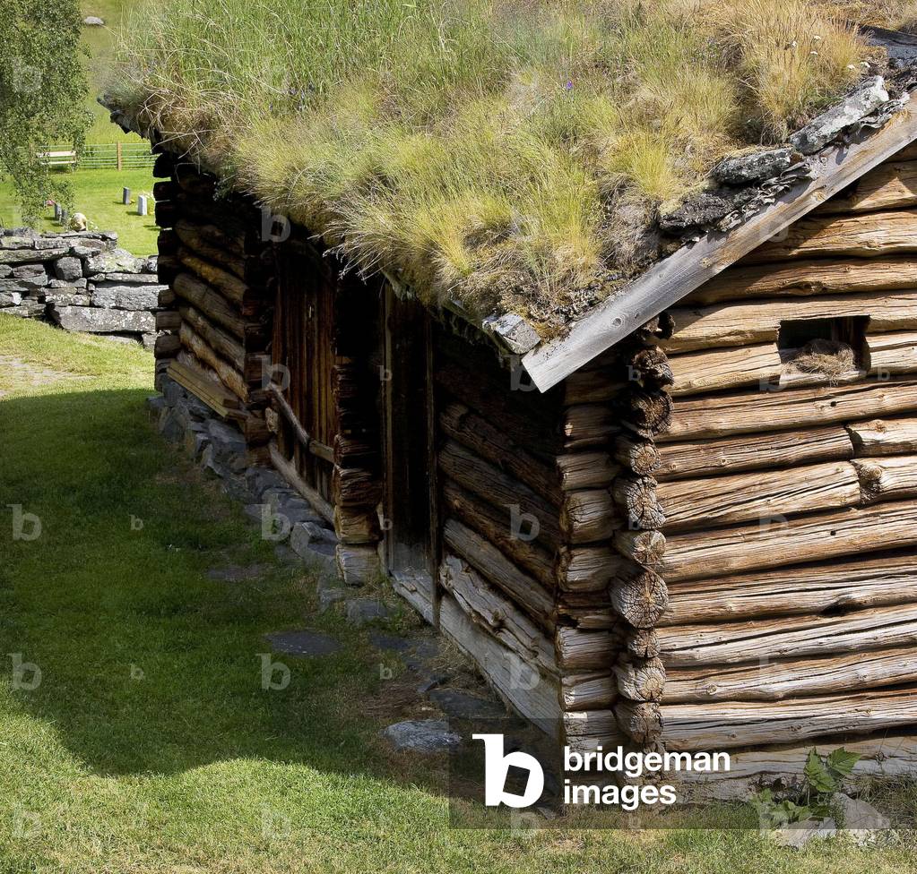 House in Norway. Photography 06/07/08.