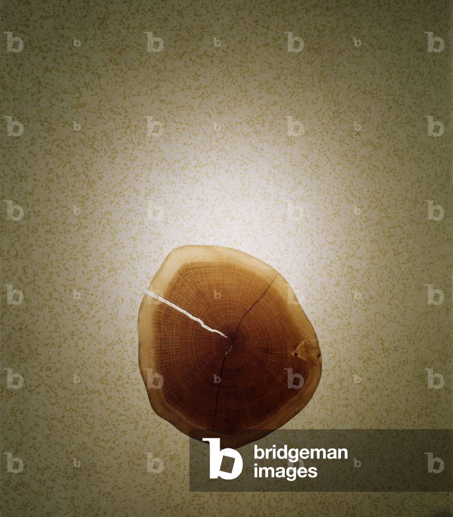 Detail. Floor element of M+F Girbaud boutique in Paris 75002. Architecture 1997