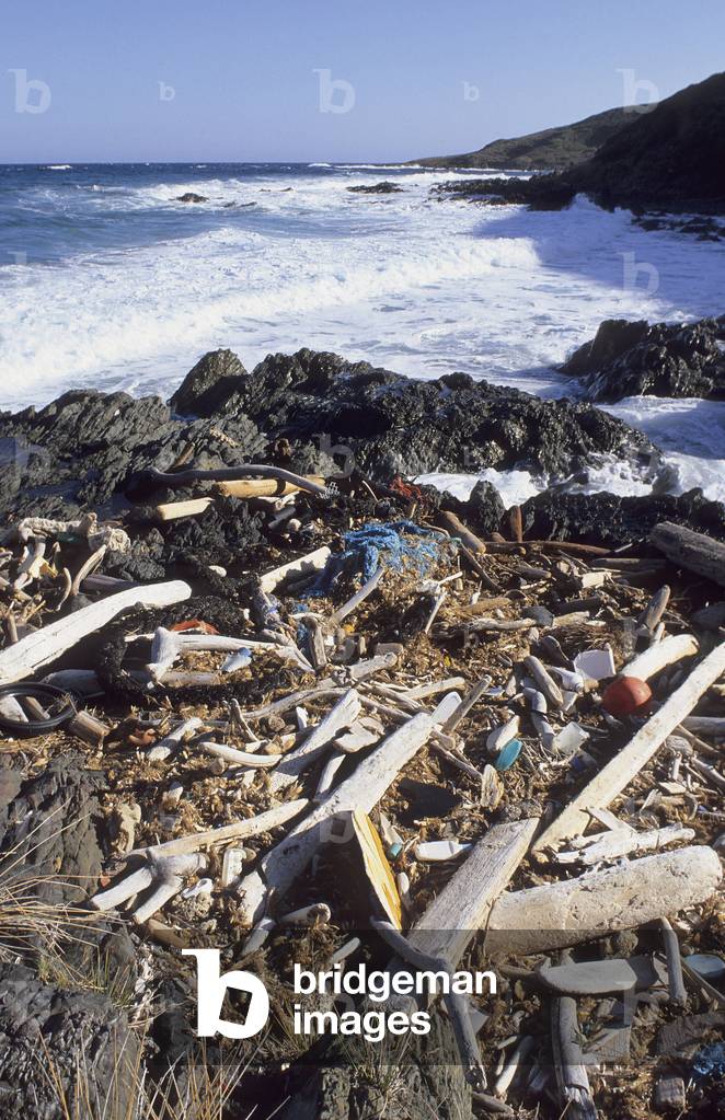 Pollution. Waste on a beach of Core, desert of Agriates (Haute Corsica). Photography 25/08/00.