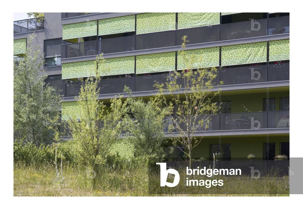 Housing complex, Hegianwandweg, Zurich, Switzerland, 2006 (photo)