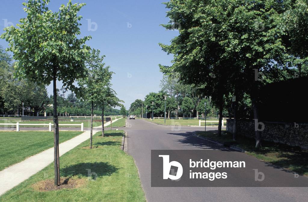 The park of Maisons Laffite (Yvelines).