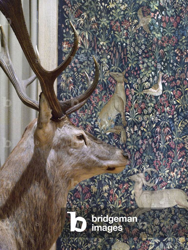 Le Musée de la Chasse et de la Nature, Paris, France, 2007 (photo)