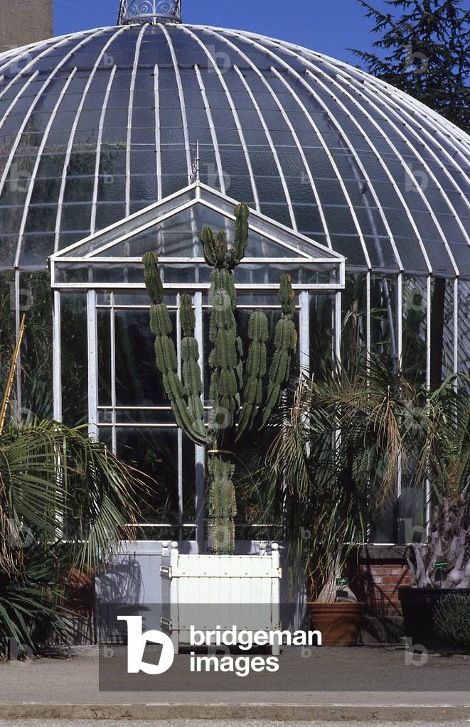 The palmarium of the garden of plants in Nantes (Loire Atlantique).
