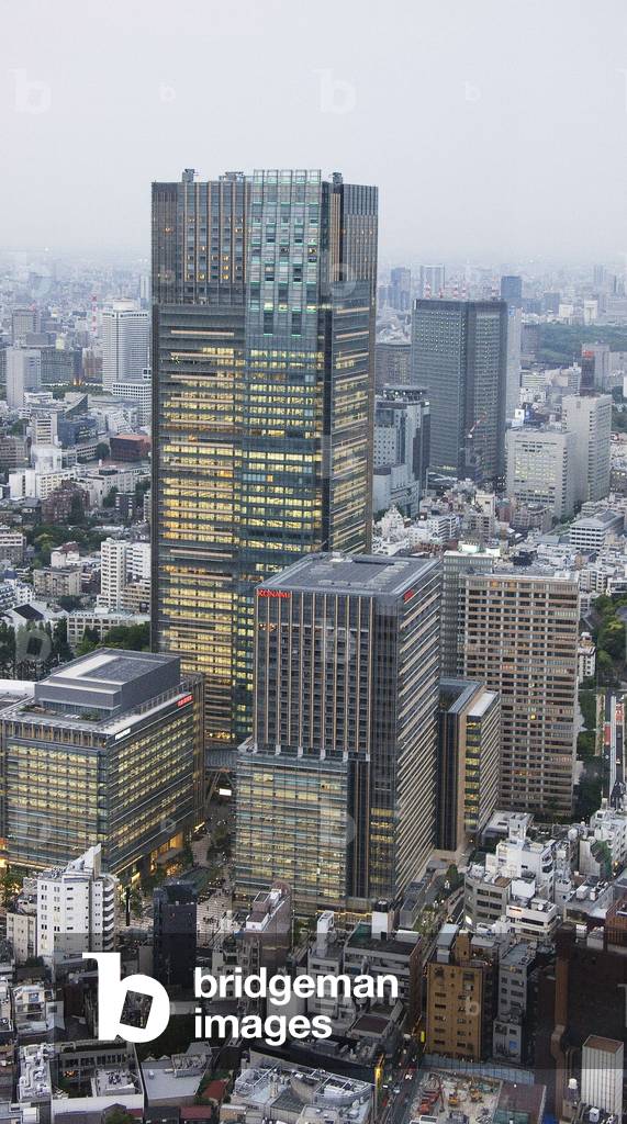 View of Tokyo (Japan).