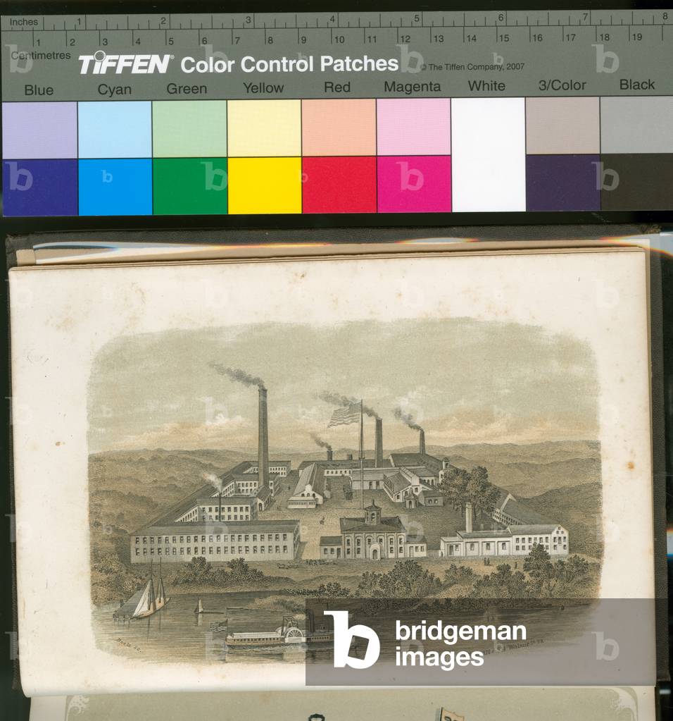 Bridesburg Manufacturing Company, 1867 (litho tinted with two stones)

