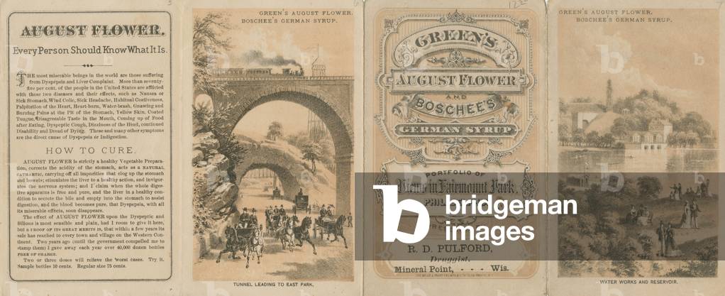 Green's August Flower and Boschee's German Syrup. Portfolio of views in Fairmount Park, Philadelphia, c.1876 (stone tinted litho) (see also 463235)