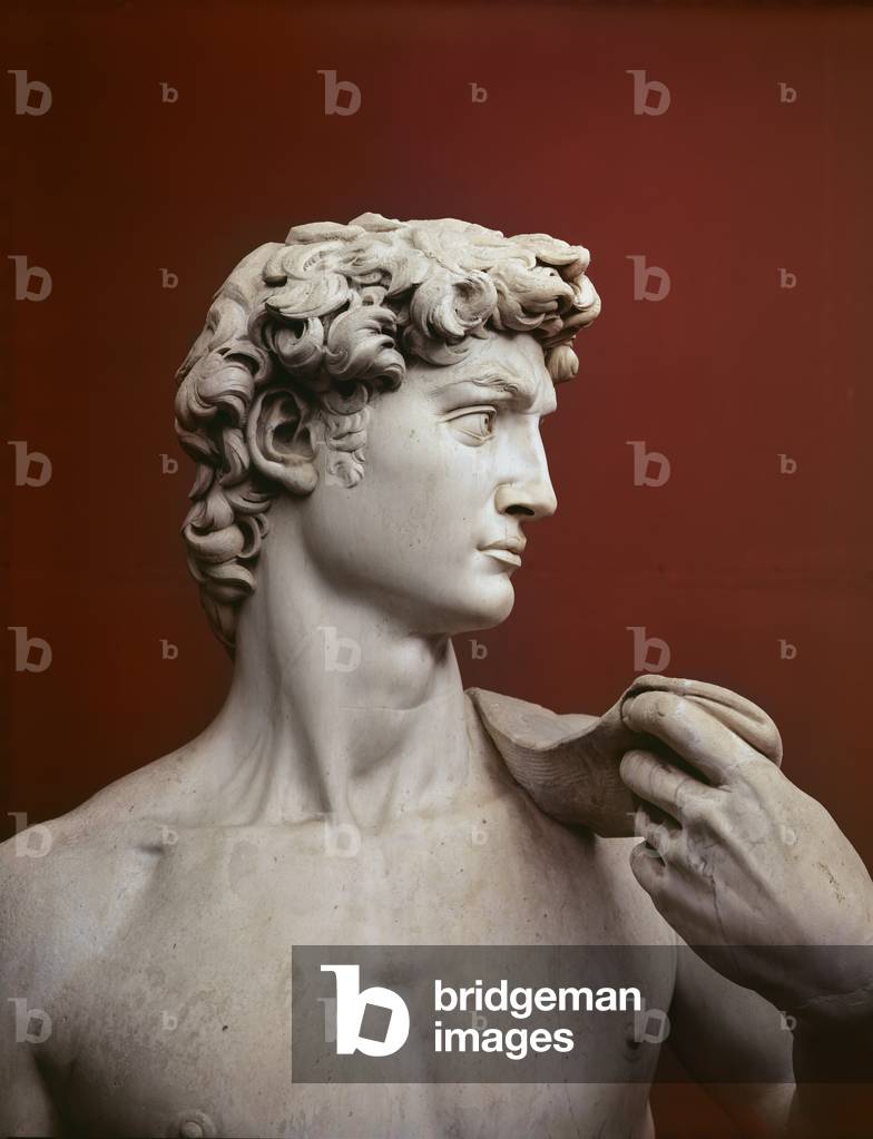 David, 1501-04 (marble) (detail)