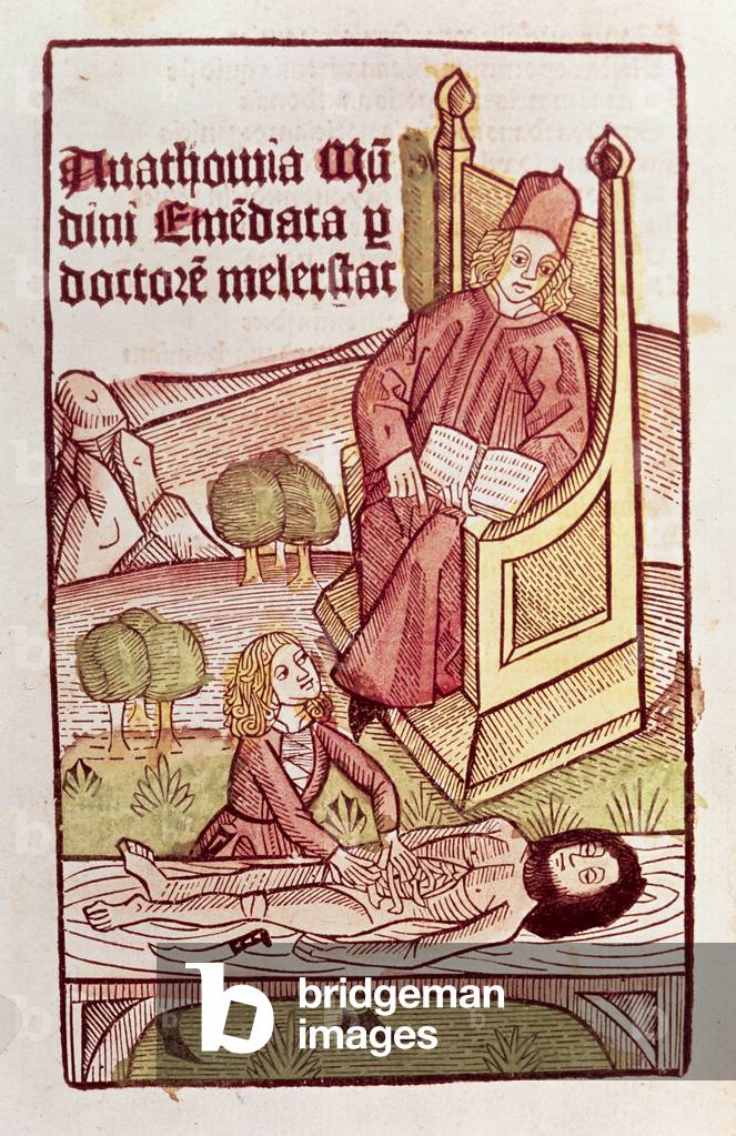 The Anatomy lesson, 1493 (woodcut)