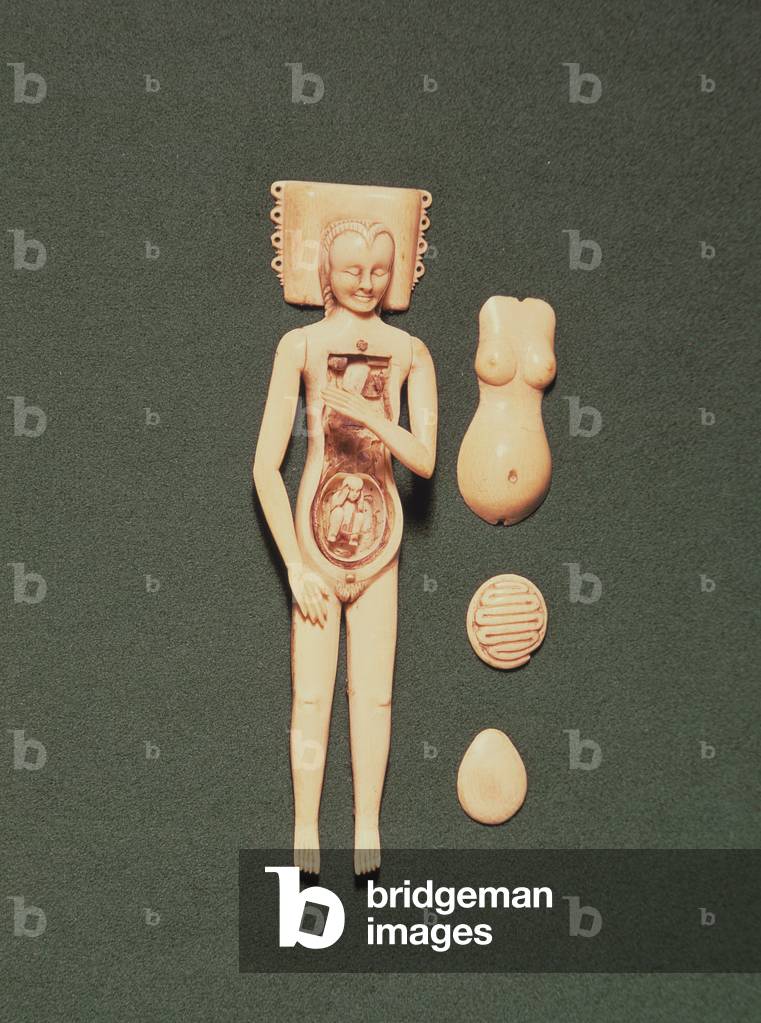 Model of a pregnant woman with removeable parts designed for a medical student