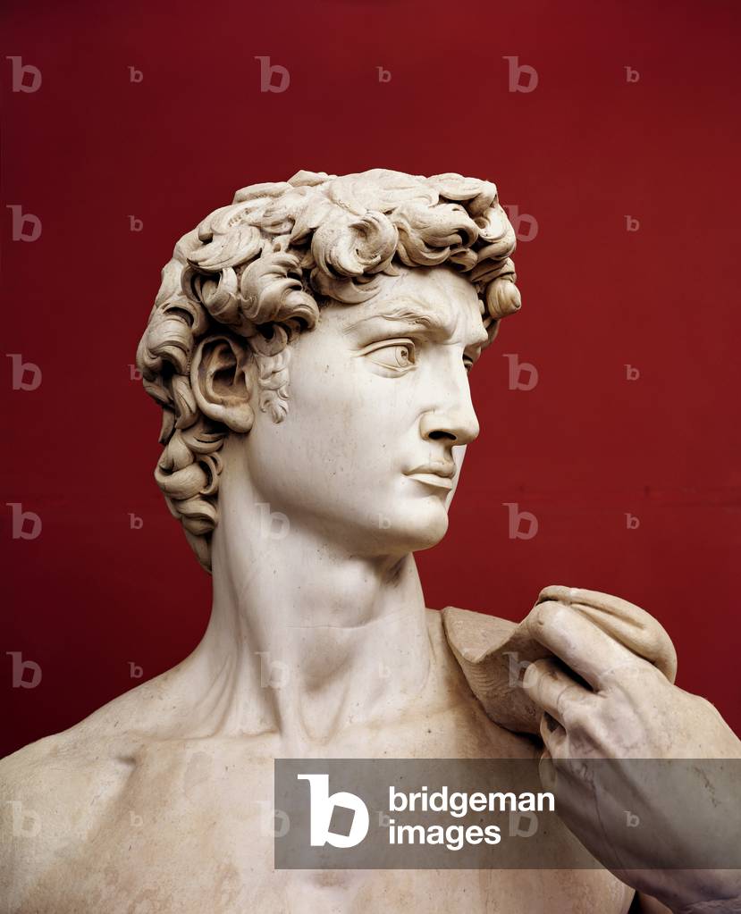 David, 1501-04 (marble) (detail of 4344)