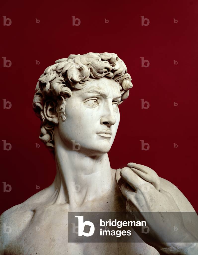 David, 1501-04 (marble) (detail)