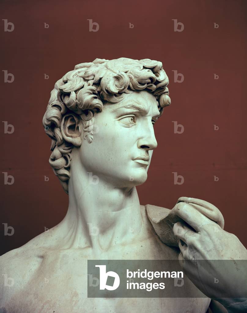David, 1501-04 (marble) (detail)