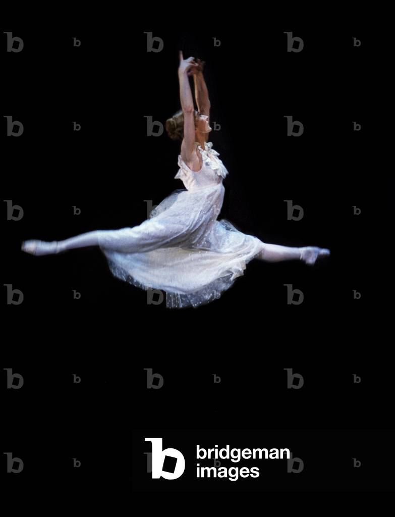 The Nutcracker