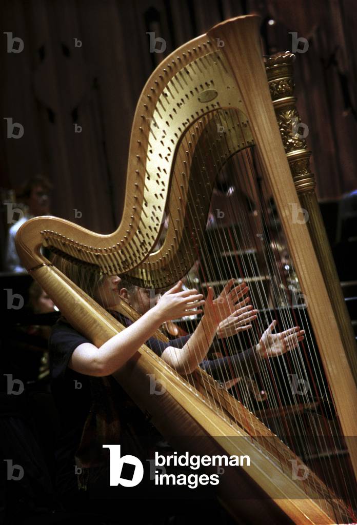 Harpists of the National Youth Orchestra