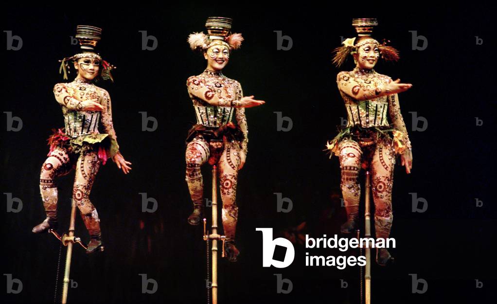 Cirque du Soleil: TOTEM