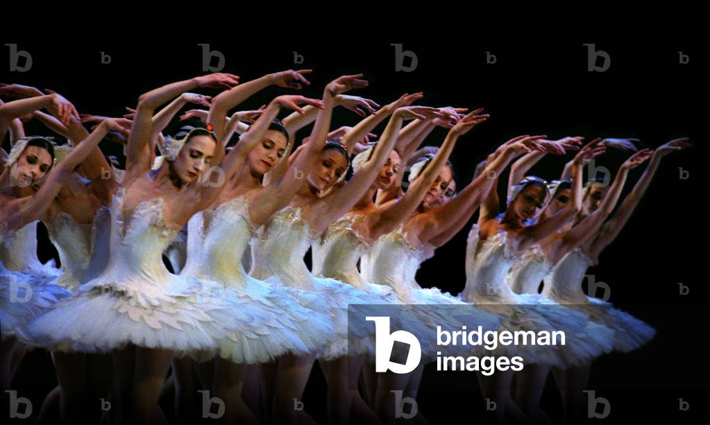 Corps De Ballet from 'Swan Lake'
