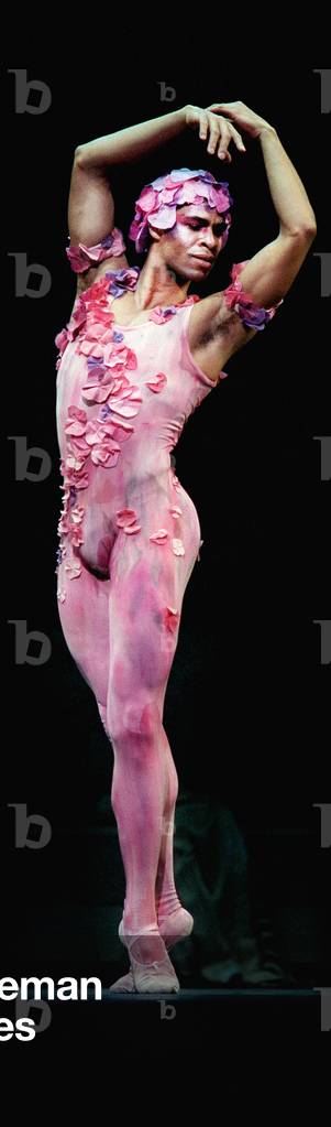 Le Spectre de la Rose