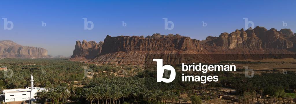 Panorama of the Palm Grove Al Ula, Al Madinah Region, Saudi Arabia (photo)