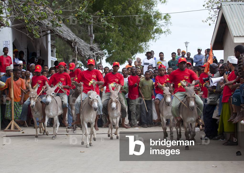 Boys preparing to compete during the donkey race, Lamu, Kenya, Africa (photo)