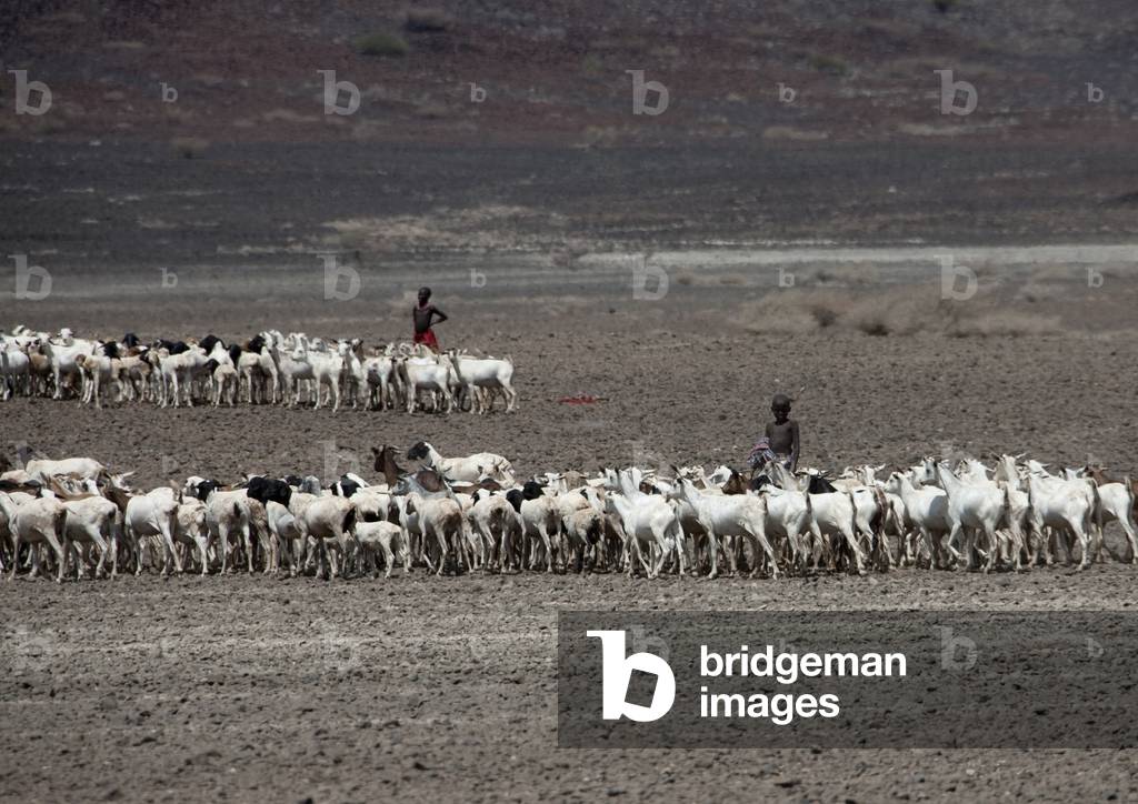 Chalbi desert, Kenya, Africa (photo)