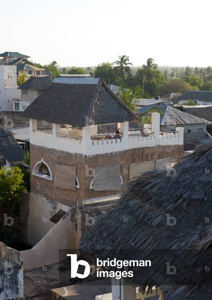 View from rooftop of traditional roofing, Lamu, Kenya, Africa (photo)