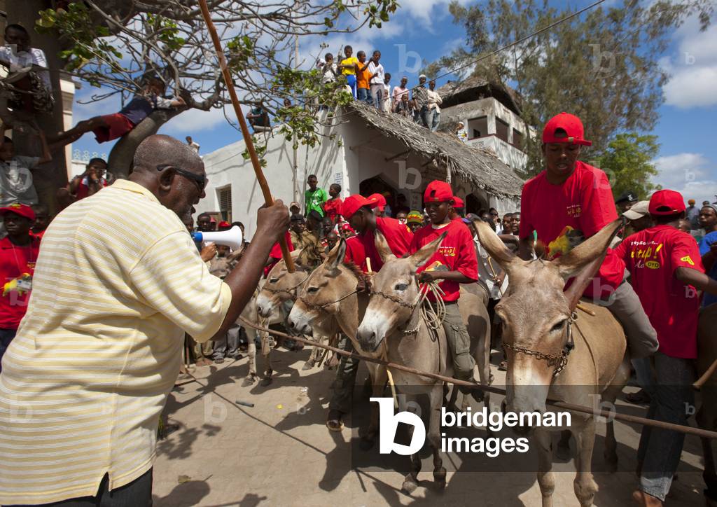 Men riding mules during maulidi donkey race, Lamu, Kenya, Africa (photo)
