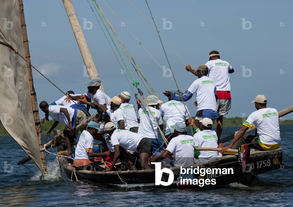 Steerage of dhow during the dhow race , Maulidi festival, Lamu, Kenya, Africa (photo)