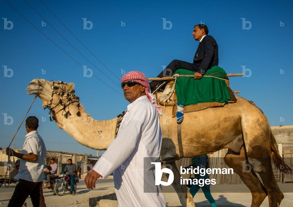 Groom Riding A Camel During His Wedding Ceremony, Qeshm Island, Salakh, Iran, 2015 (photo)