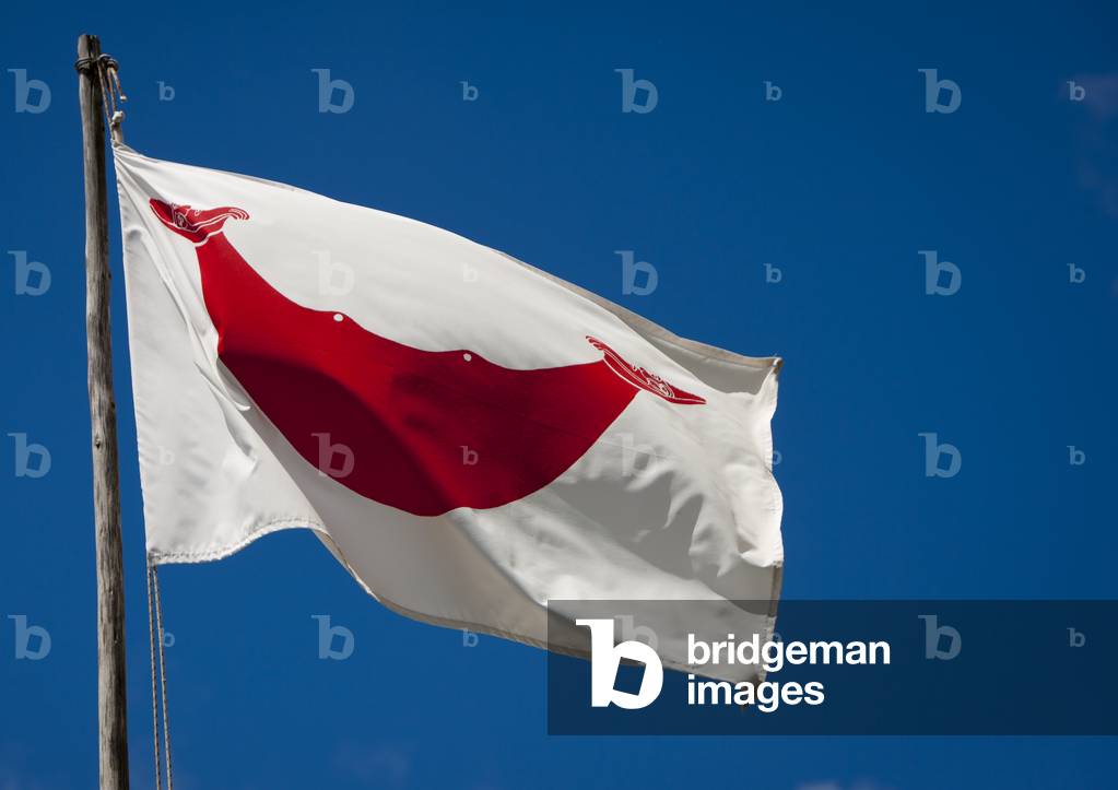 Rapanui Flag, Easter Island, Chile (photo)