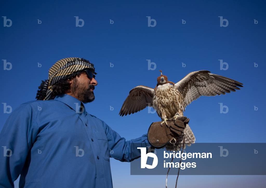 Falconry in Sakakah Area, Saudi Arabia (photo)