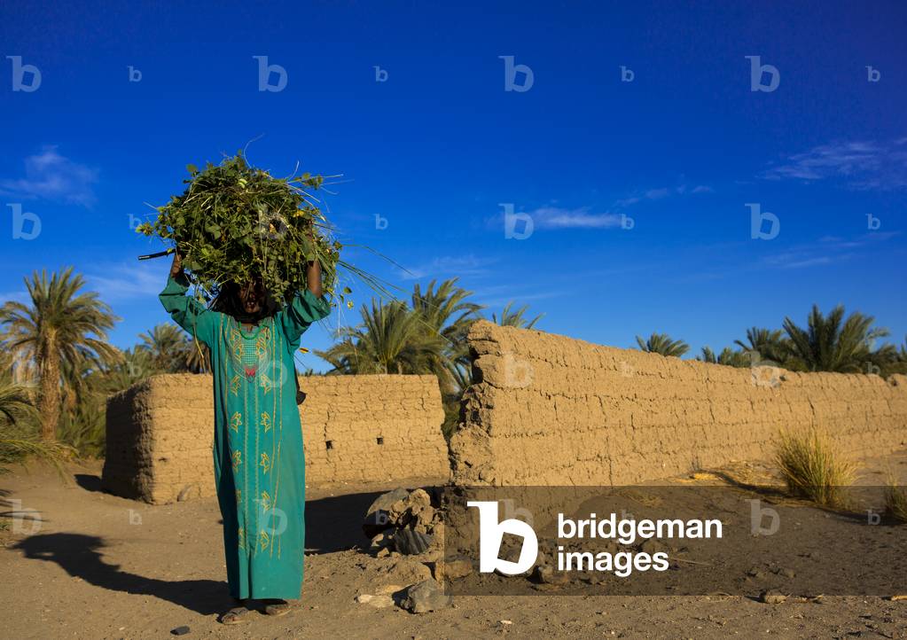 Woman Carrying Grass on Her Head, Soleb, Nubia, Sudan (photo)