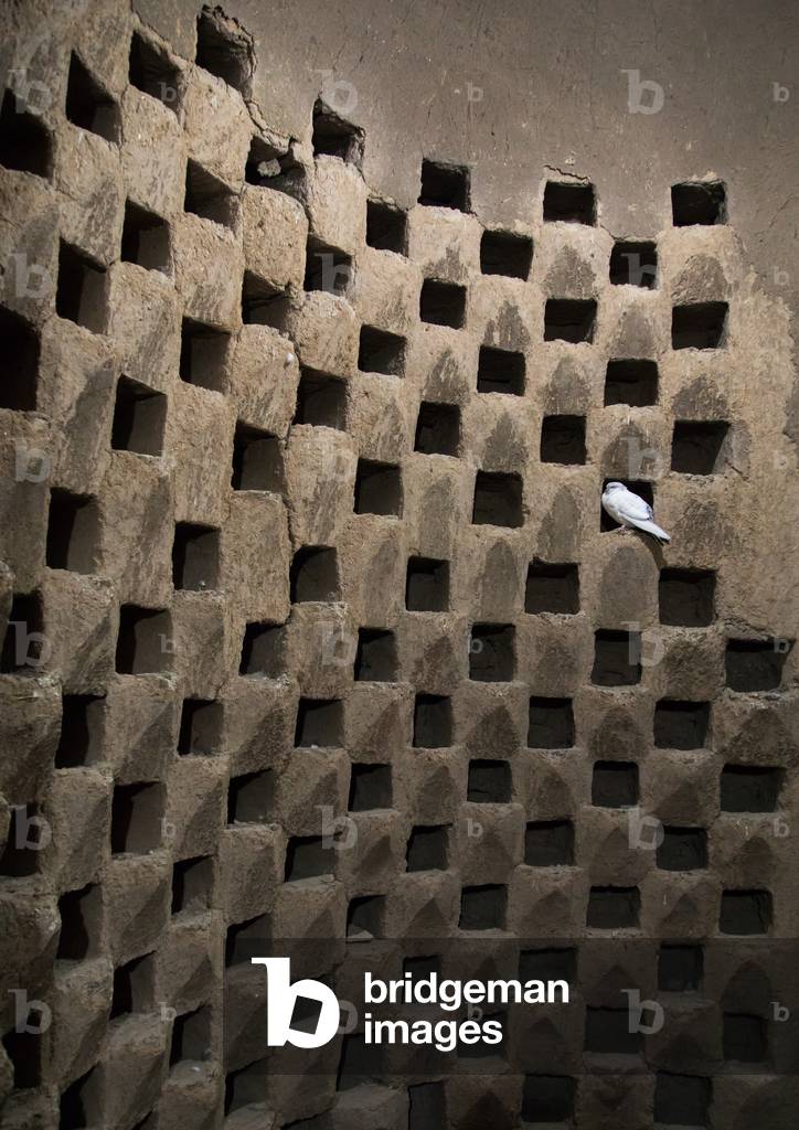 Old dovecote for pigeons, Isfahan Province, Isfahan, Iran (photo)