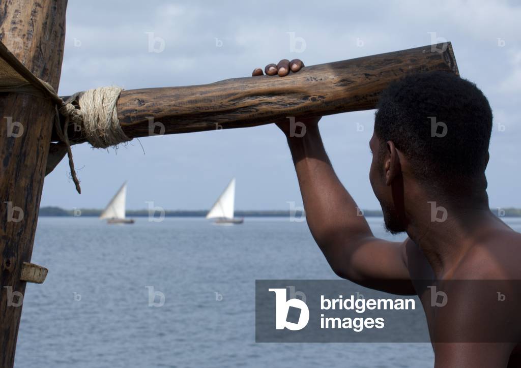 Backside of man looking at horizon, Two sailing dhows in backgound, Lamu, Kenya, Africa (photo)