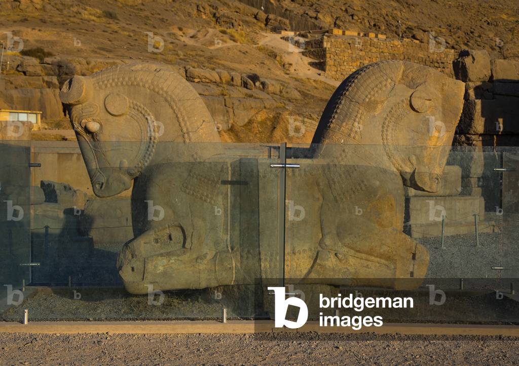 Sculpture of horse head in Persepolis, Fars Province, Marvdasht, Iran (photo)