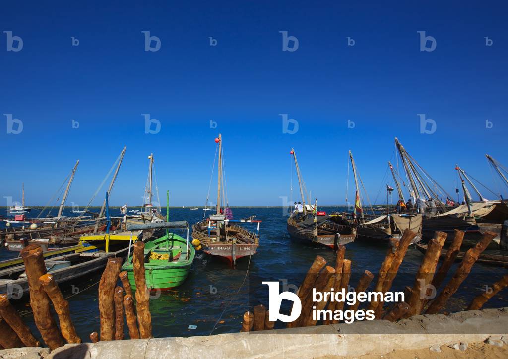 Mangrove wood, Sea in background and moored dhows, Lamu, Kenya, Africa (photo)