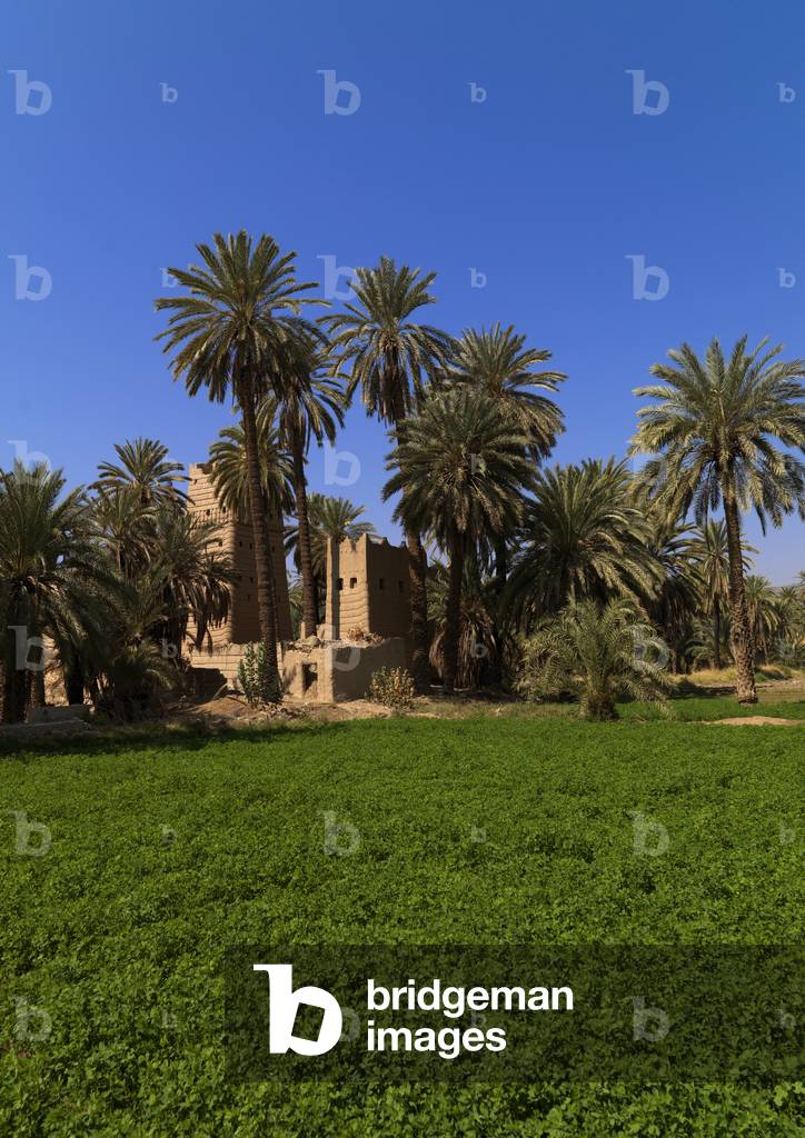 Najran Style Architecture, Saudi Arabia (photo)