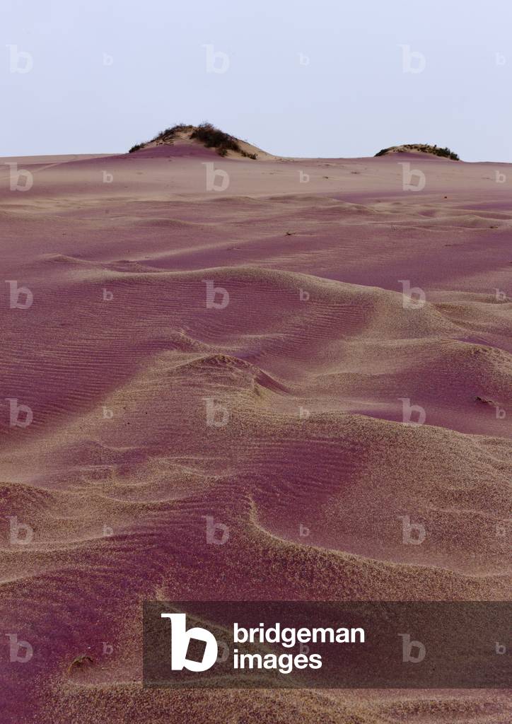 Pink Sand in the Namib Desert, Iona National Park, Angola, Africa (photo)