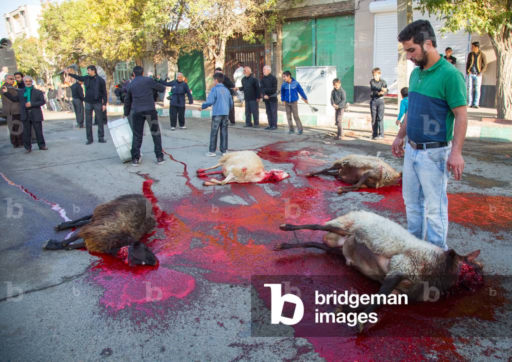 Shiite Muslim Men Standing in the Blood of a Ritually Slaughtered Sheep on Ashura, Kurdistan Province, Bijar, Iran (photo)