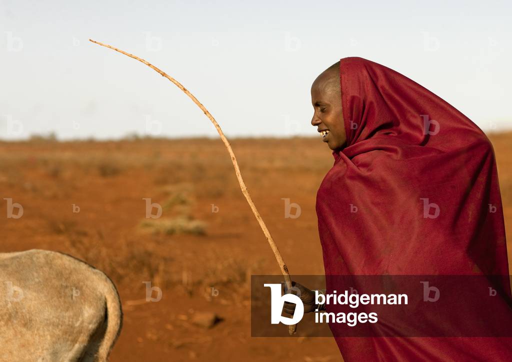 Rendille tribe, Kenya, Africa (photo)