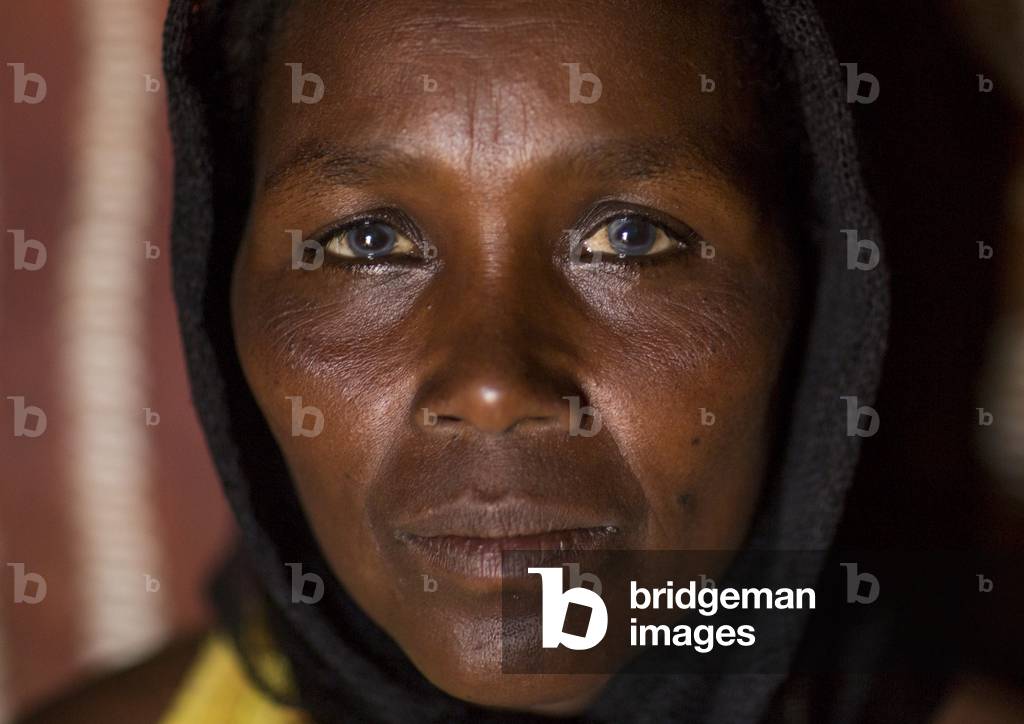 Borana tribe woman inside a hut, Marsabit district, Marsabit, Kenya, Africa (photo)