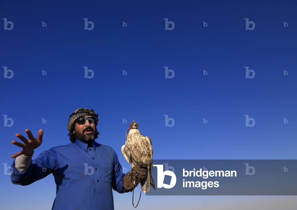 Falconry in Sakakah Area, Saudi Arabia (photo)
