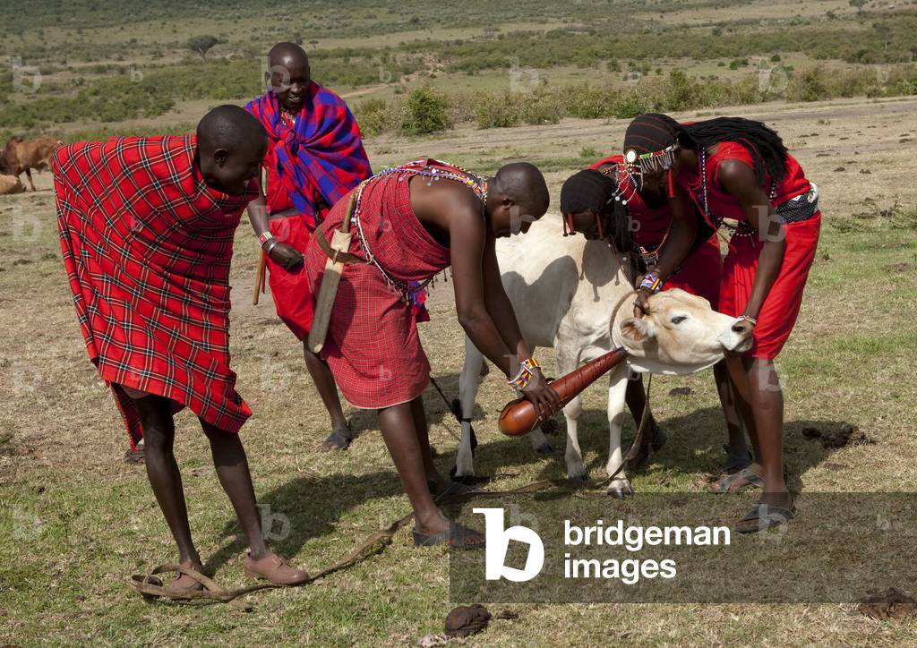 Maasai in Kenya, Africa (photo)