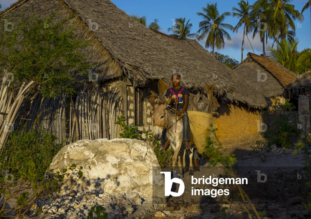 Child riding a donkey, Lamu county, Matondoni, Kenya, Africa (photo)