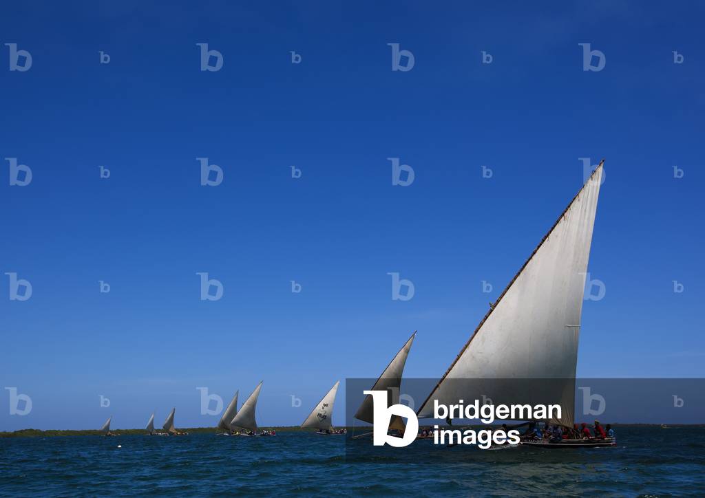 Dhow race, Maulidi festival, Lamu, Kenya, Africa (photo)