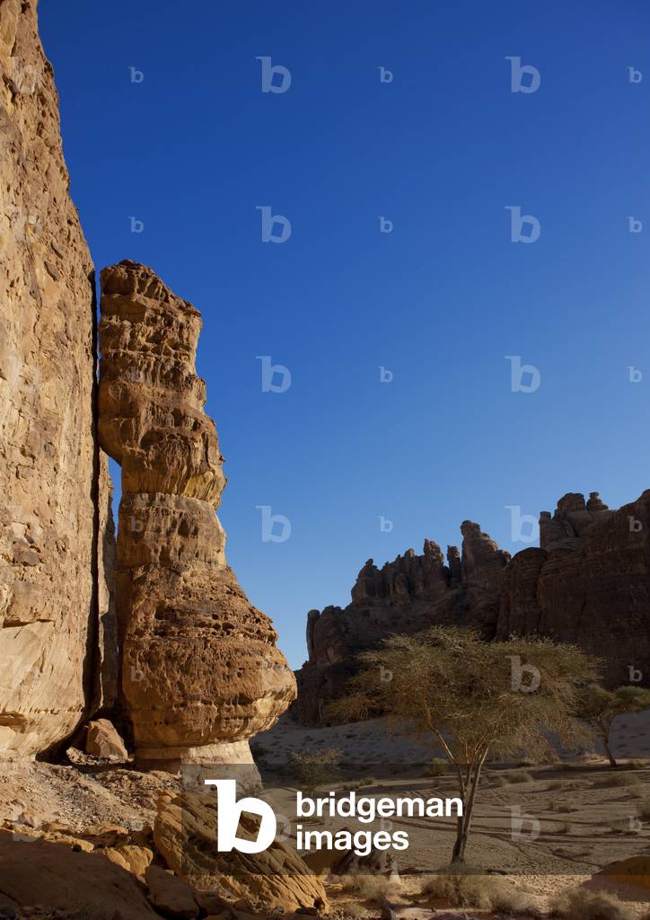 Madain Saleh Rocks, Saudi Arabia (photo)