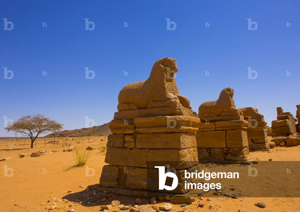 Rams Statues in Amun Temple Rams, Naga, Nubia, Sudan (photo)