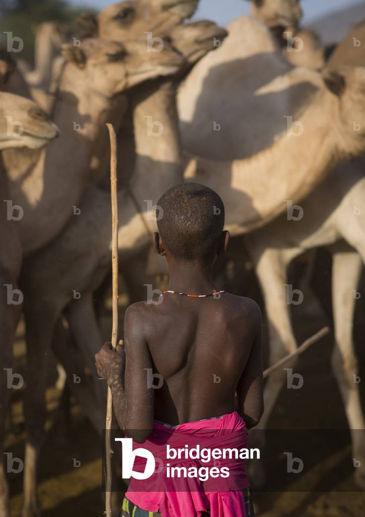 Rendille tribe boy, Marsabit district, Ngurunit, Kenya, Africa (photo)