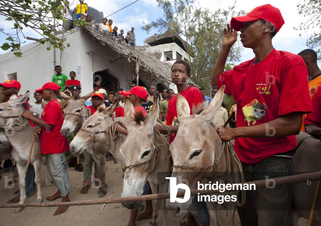 Men riding mules during maulidi donkey race, Lamu, Kenya, Africa (photo)
