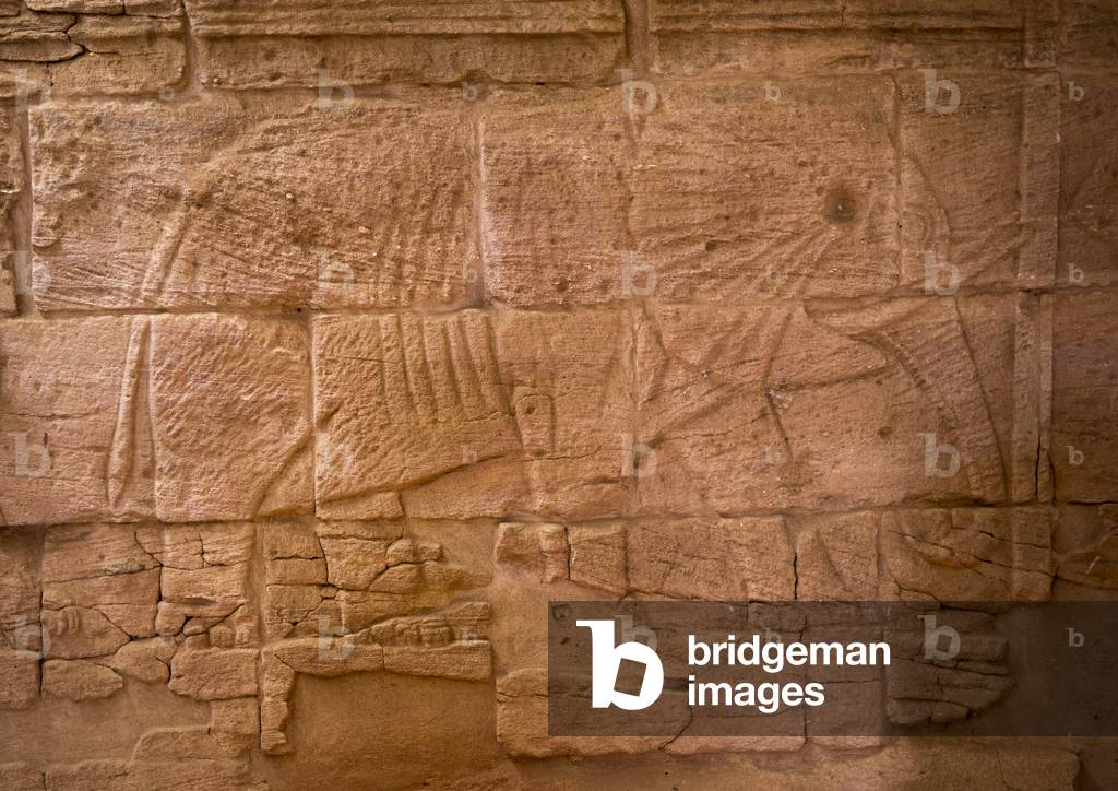 Elephant Relief, Interior of The Lion Temple in Musawwarat Es-Sufra, Naga, Nubia, Sudan (photo)