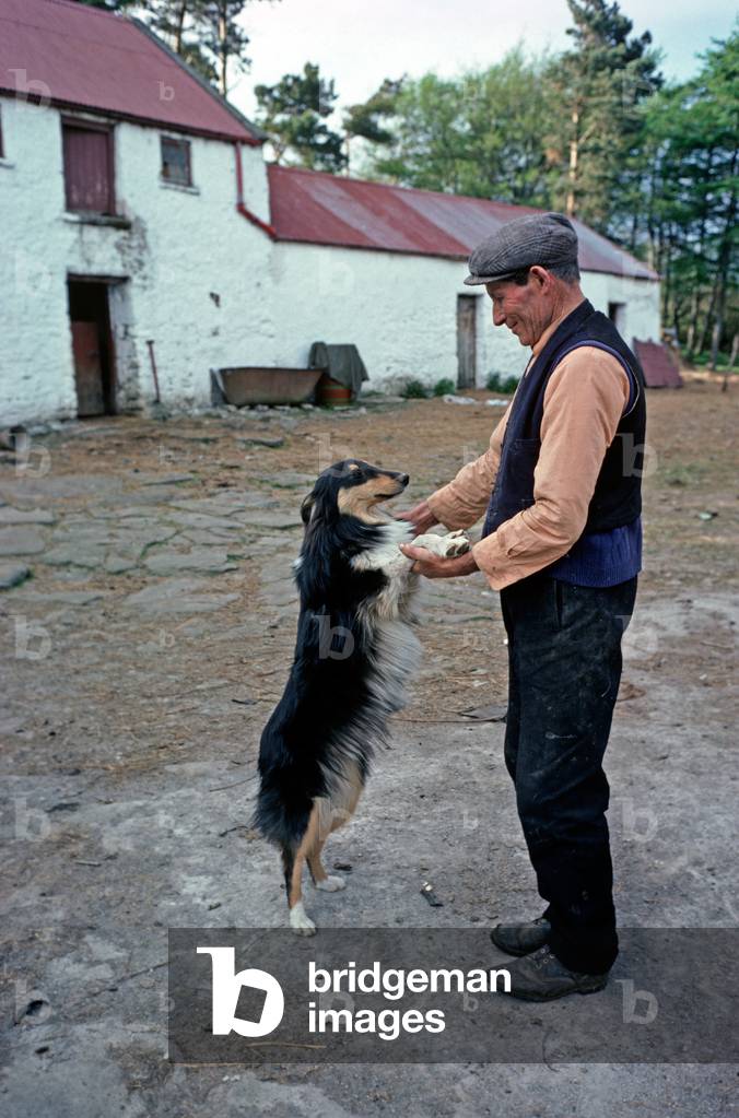 Blue Stack Mountains farmer and sheepdog outside farmhouse, Donegal, Ireland (photo)